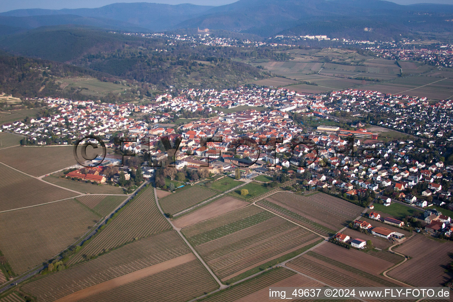 Bird's eye view of Wachenheim an der Weinstraße in the state Rhineland-Palatinate, Germany