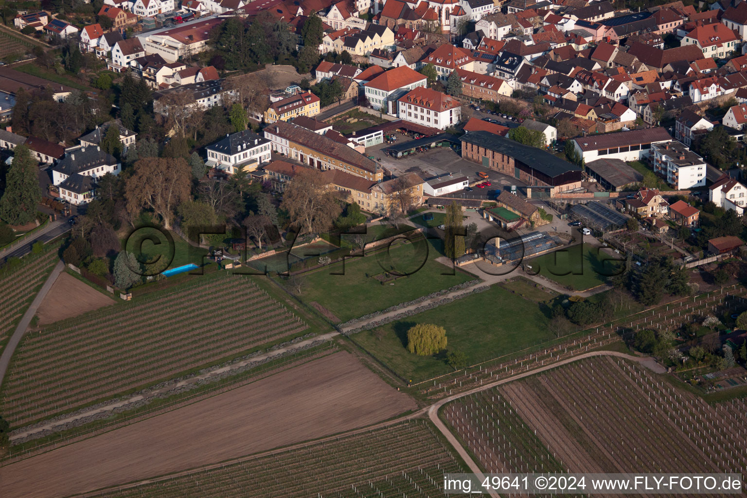 Wachenheim an der Weinstraße in the state Rhineland-Palatinate, Germany viewn from the air