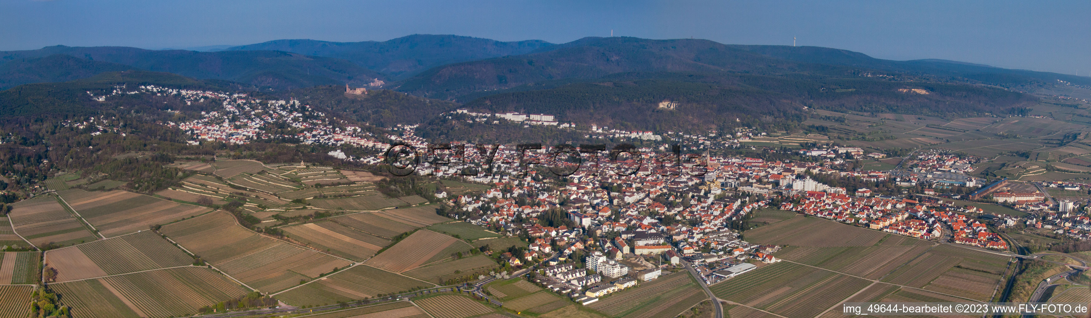 Panorama in the district Seebach in Bad Dürkheim in the state Rhineland-Palatinate, Germany