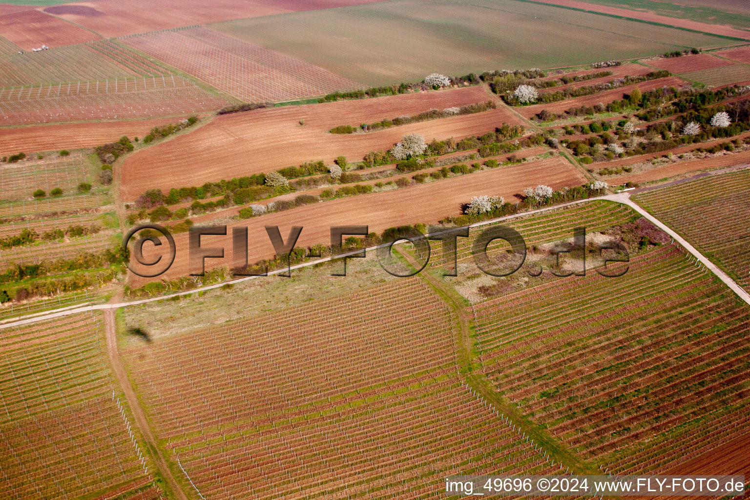 Aerial view of Flörsheim-Dalsheim in the state Rhineland-Palatinate, Germany