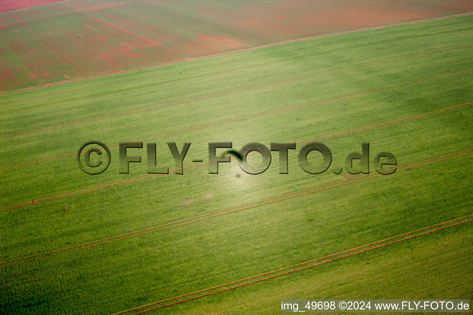 Oblique view of Flörsheim-Dalsheim in the state Rhineland-Palatinate, Germany