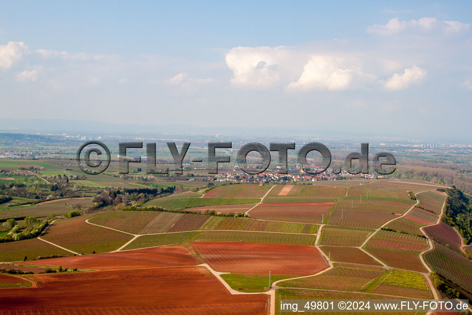 Aerial view of Rhine at Nierstein in Nierstein in the state Rhineland-Palatinate, Germany