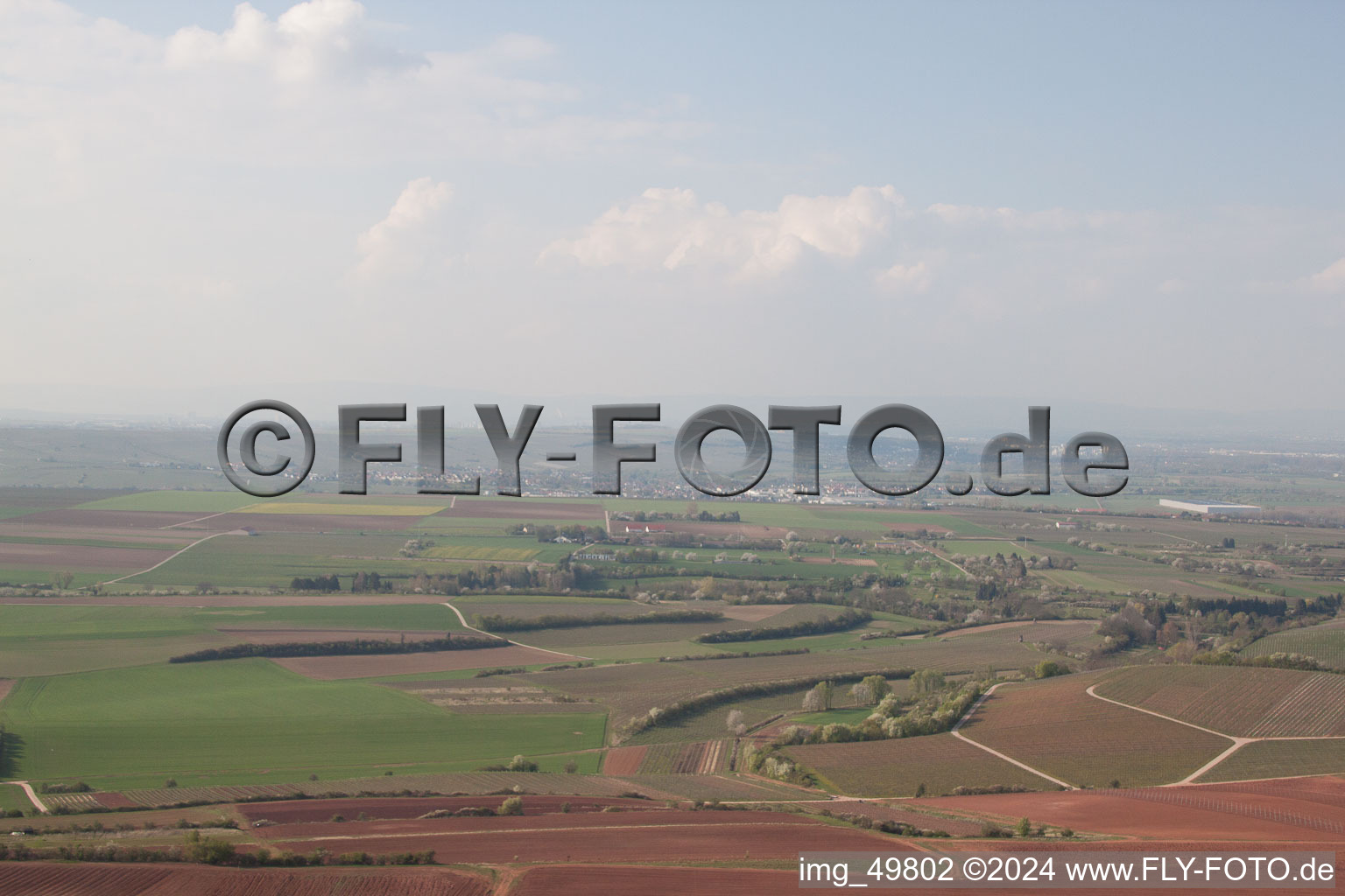 Aerial photograpy of Rhine at Nierstein in Nierstein in the state Rhineland-Palatinate, Germany