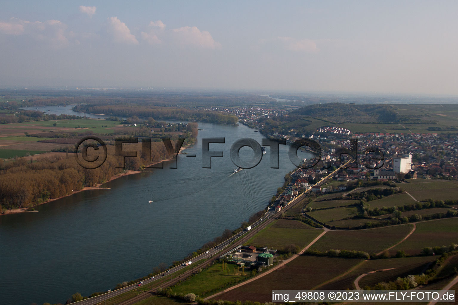 On the Rhine in Nierstein in the state Rhineland-Palatinate, Germany