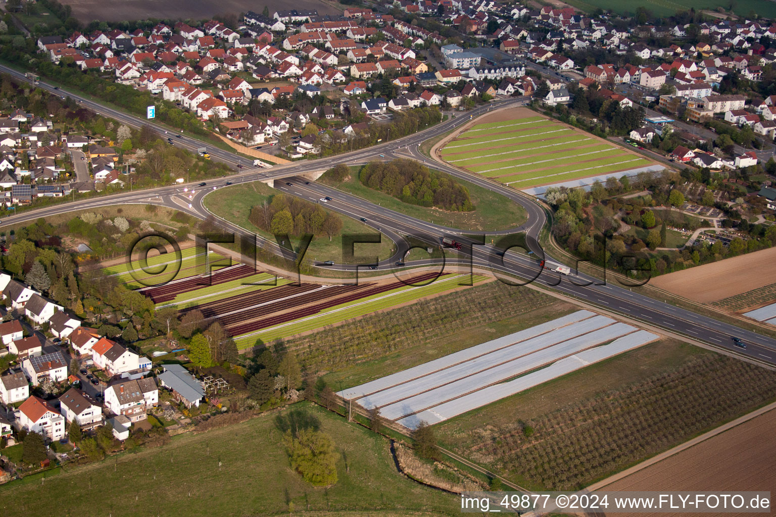 District Schauernheim in Dannstadt-Schauernheim in the state Rhineland-Palatinate, Germany out of the air