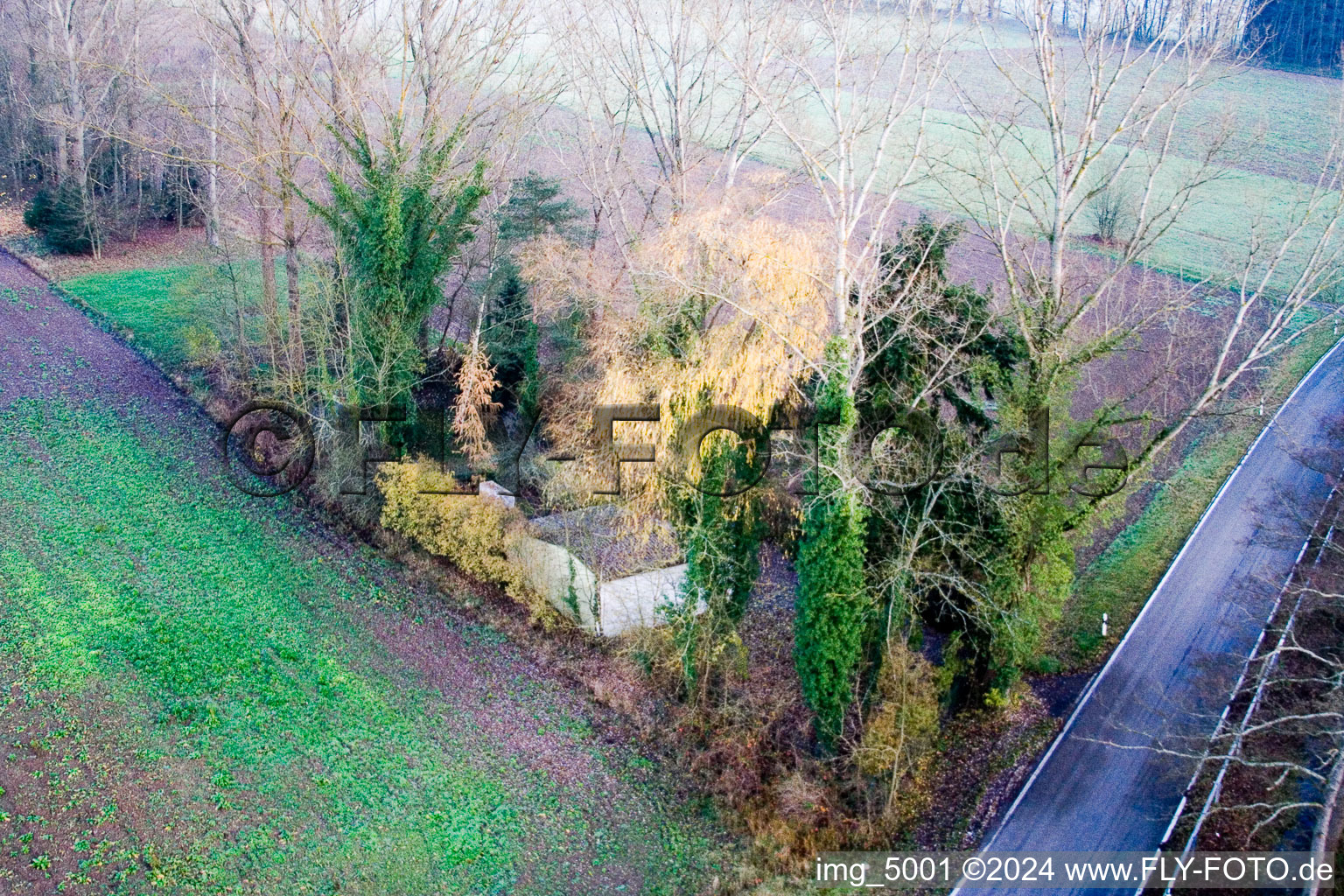 Krumböck's Hut in Minfeld in the state Rhineland-Palatinate, Germany