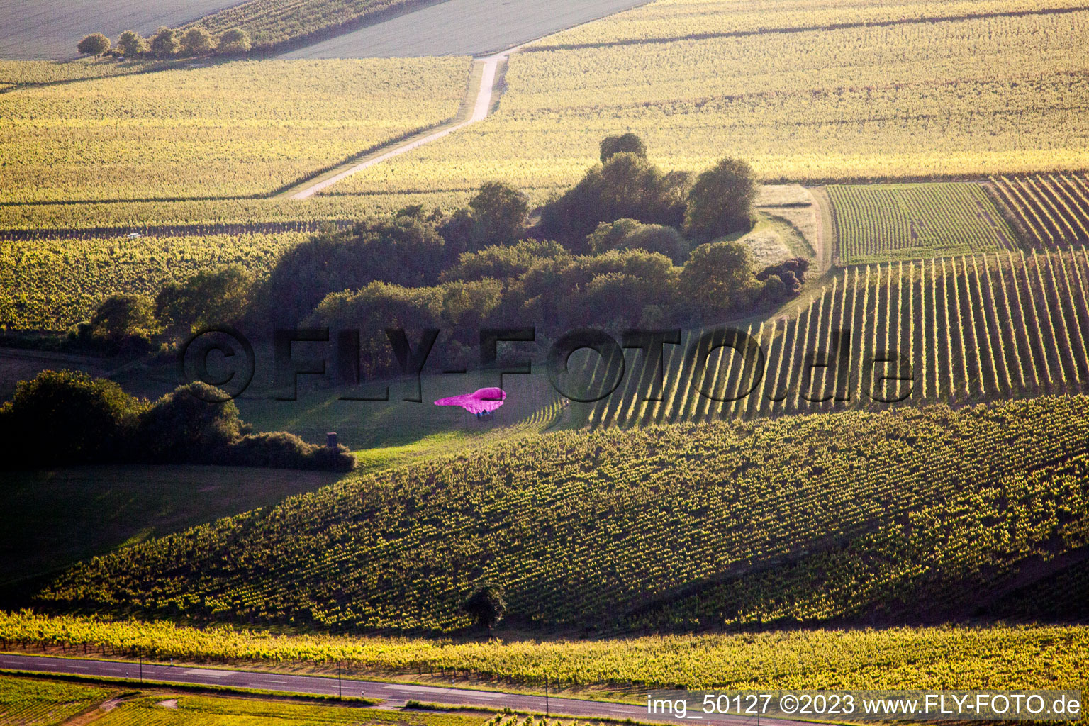 Balloon landing in Niederhorbach in the state Rhineland-Palatinate, Germany
