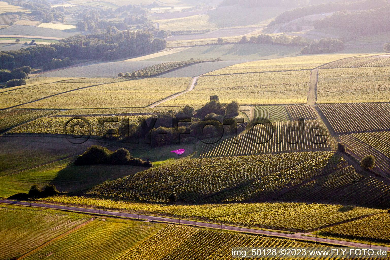 Aerial view of Balloon landing in Niederhorbach in the state Rhineland-Palatinate, Germany