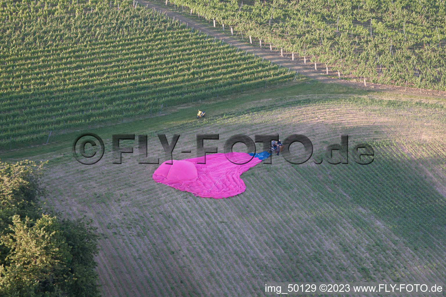 Aerial photograpy of Balloon landing in Niederhorbach in the state Rhineland-Palatinate, Germany