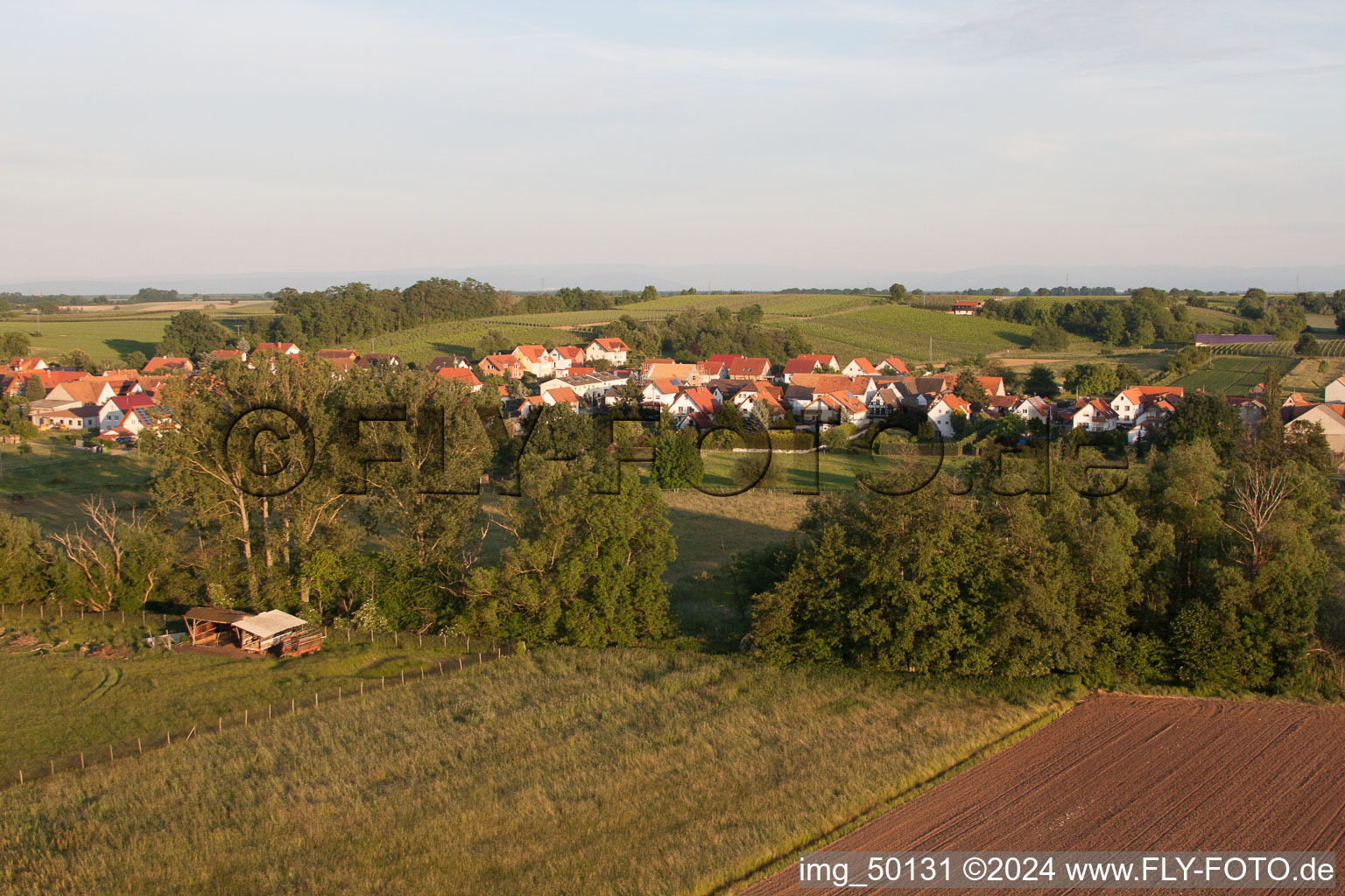 Hergersweiler in the state Rhineland-Palatinate, Germany from the drone perspective