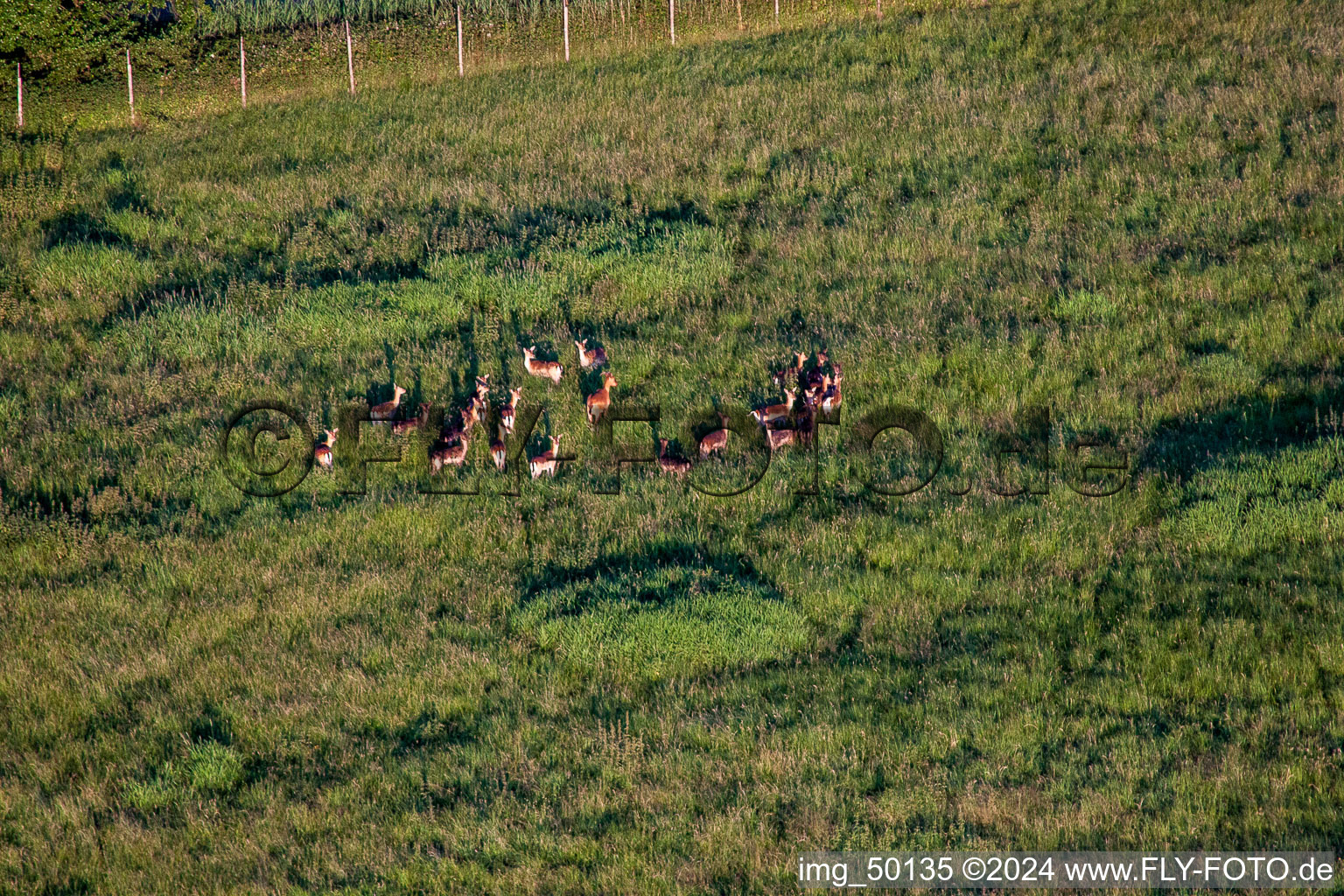 Hergersweiler in the state Rhineland-Palatinate, Germany seen from a drone