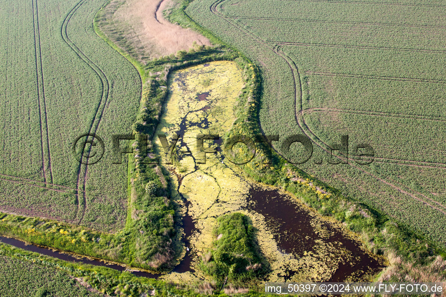 Oblique view of Saint Nicholas at Wade in the state England, Great Britain