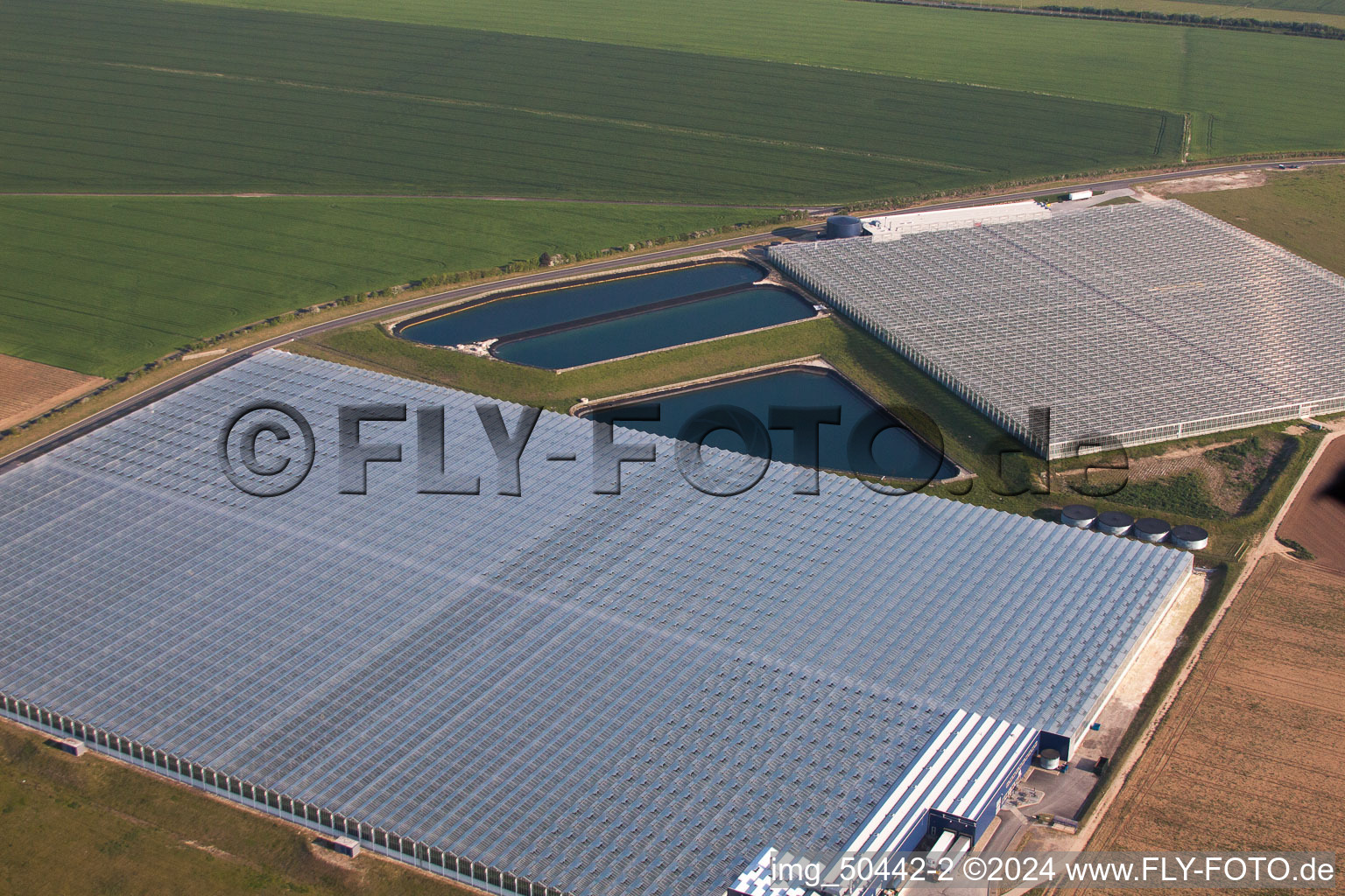 Glass roof surfaces in the greenhouse for vegetable growing ranks of von Thanet Earth in England, United Kingdom