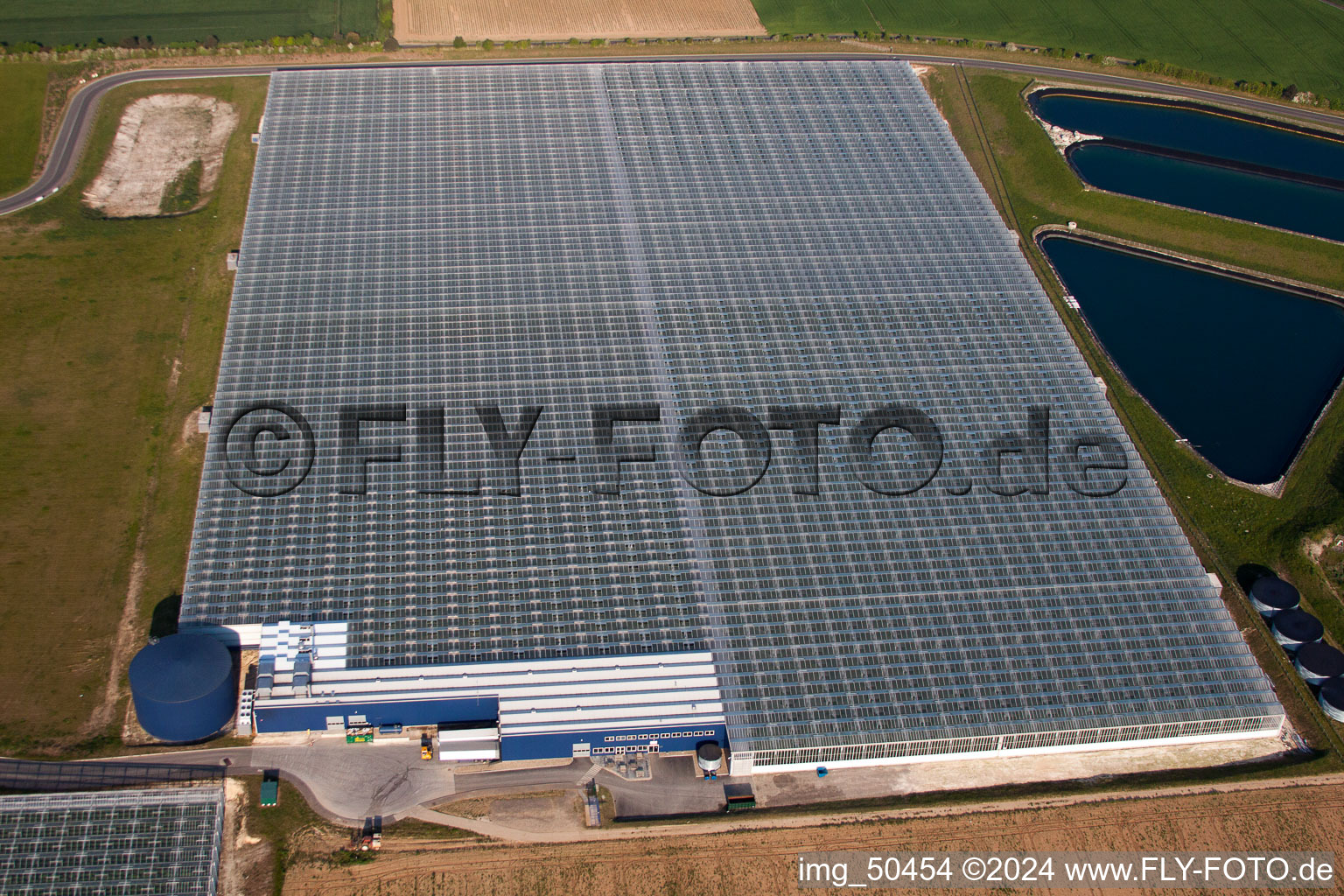 Glass roof surfaces in the greenhouse for vegetable growing ranks of von Thanet Earth in England, United Kingdom