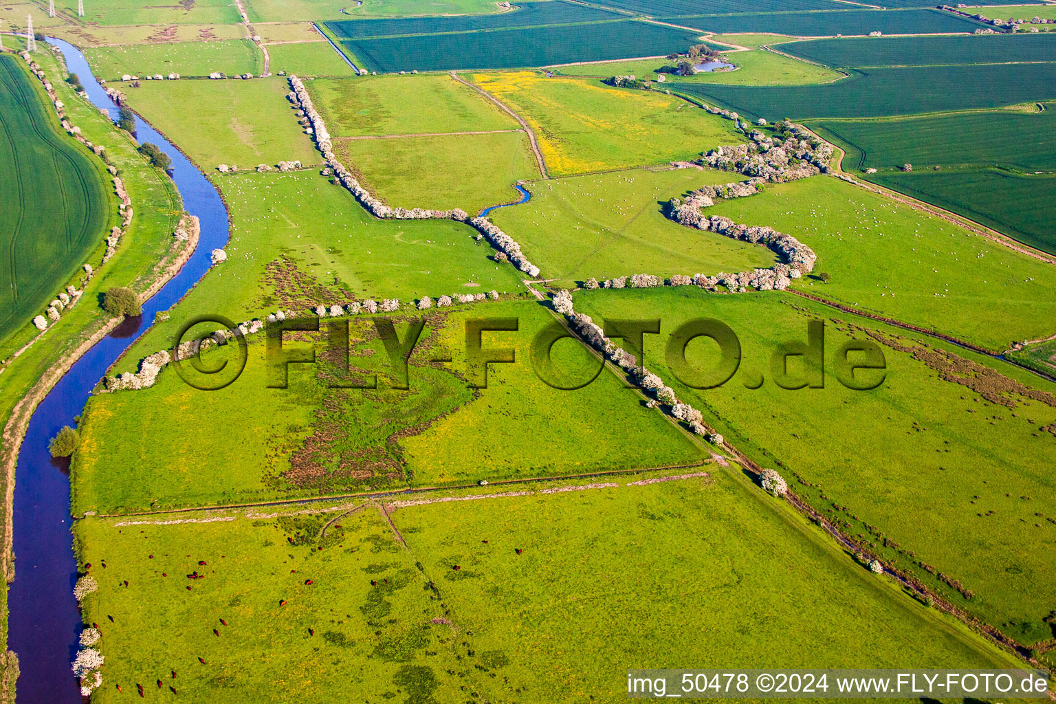 Bird's eye view of Monkton in the state England, Great Britain