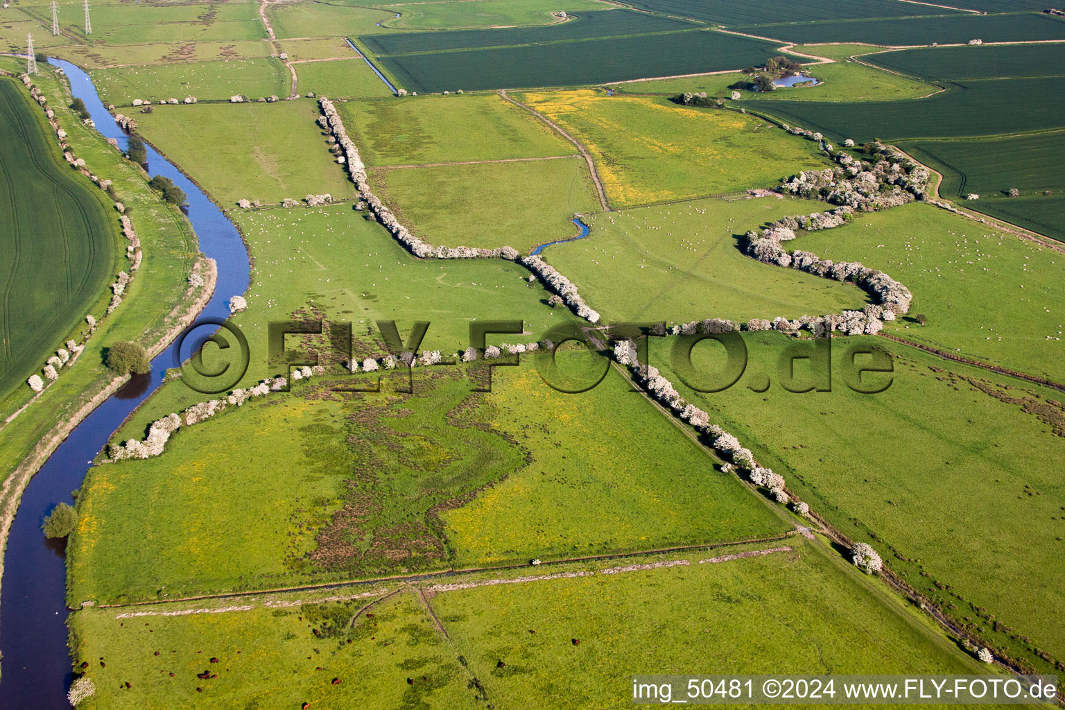 Blooming trees and River Stour around Structures of a marsh landscape in Ash in England, United Kingdom