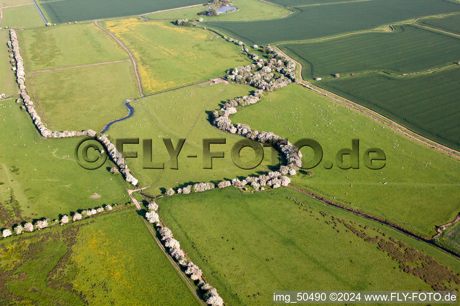 Monkton in the state England, Great Britain viewn from the air