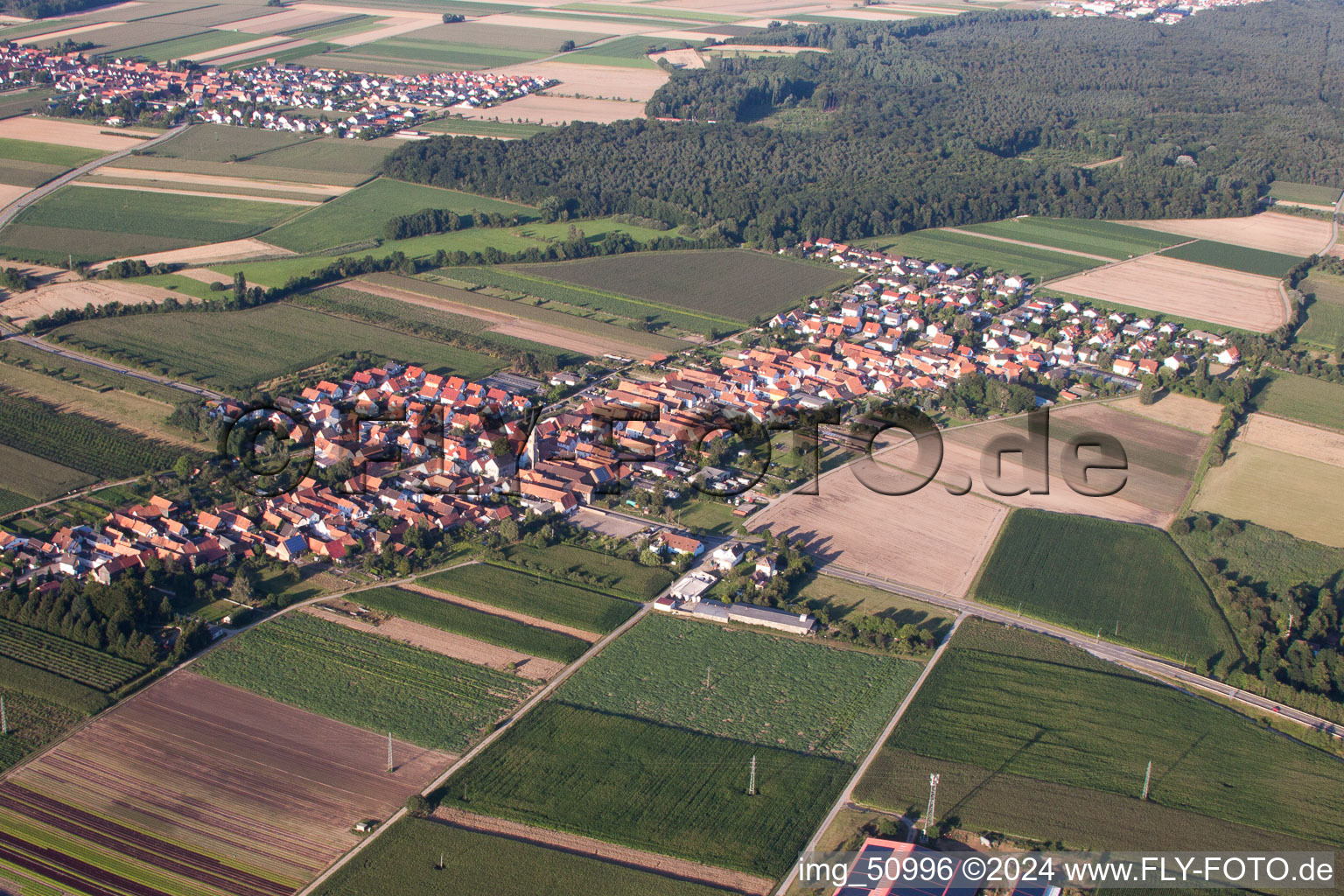 Aerial photograpy of From the southwest in Erlenbach bei Kandel in the state Rhineland-Palatinate, Germany