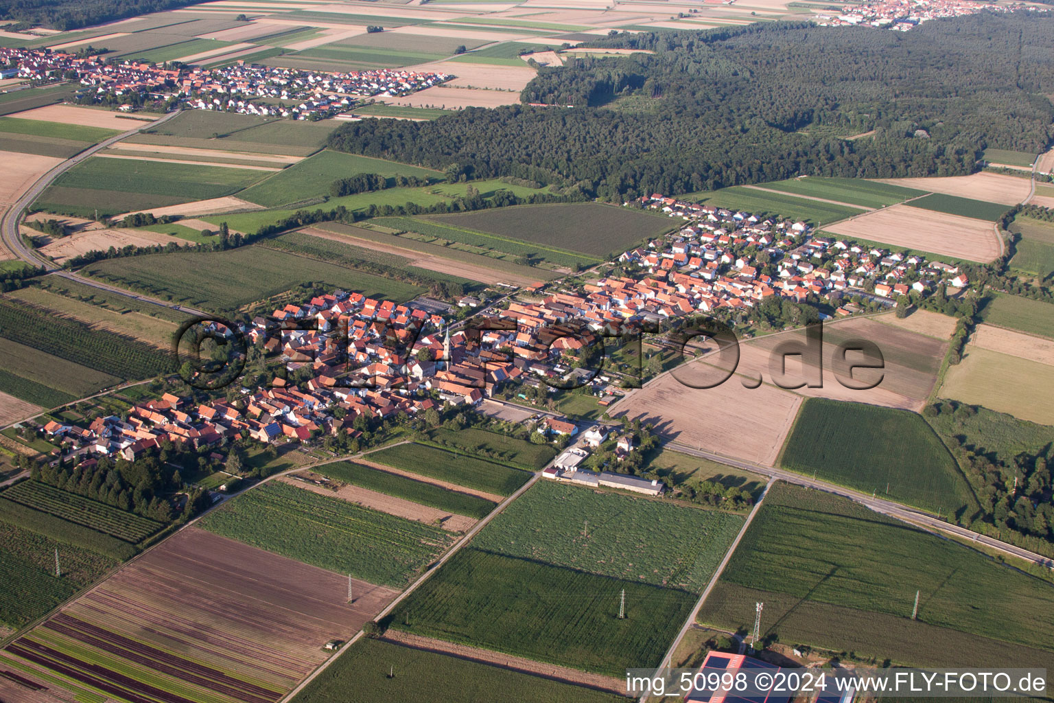 Oblique view of From the southwest in Erlenbach bei Kandel in the state Rhineland-Palatinate, Germany