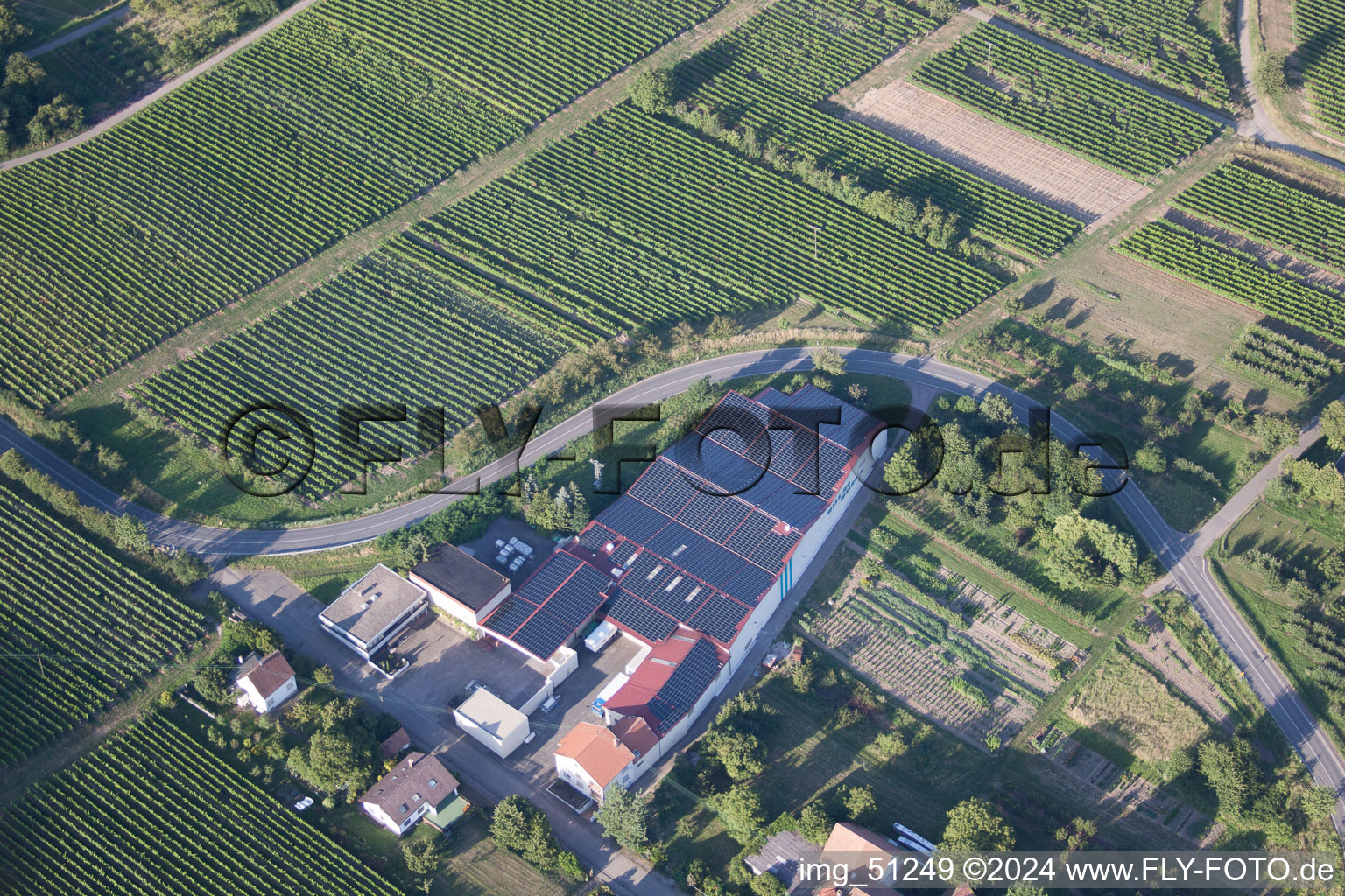 Wissing Wines in Oberotterbach in the state Rhineland-Palatinate, Germany