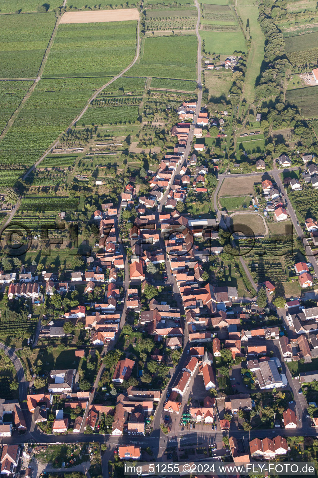 Oblique view of Town View of the streets and houses of the residential areas in Oberotterbach in the state Rhineland-Palatinate, Germany