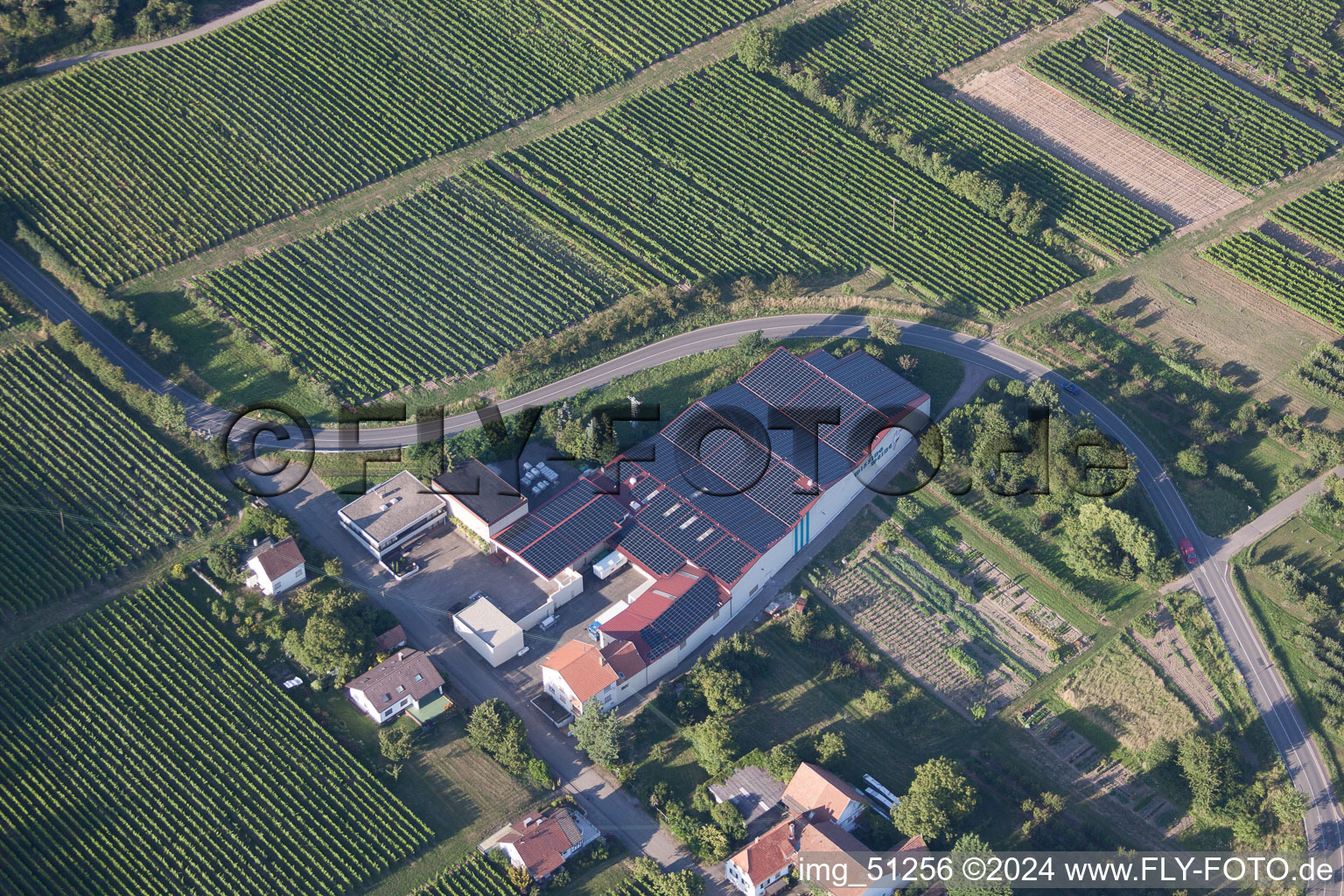 Aerial view of Wissing Wines in Oberotterbach in the state Rhineland-Palatinate, Germany