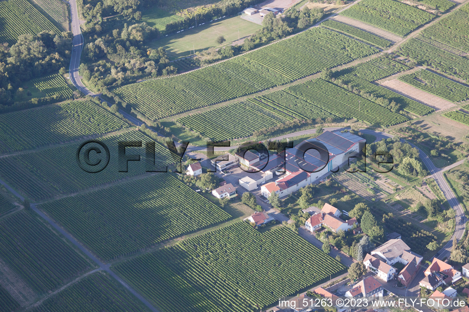 Oblique view of Wissing wines in Oberotterbach in the state Rhineland-Palatinate, Germany