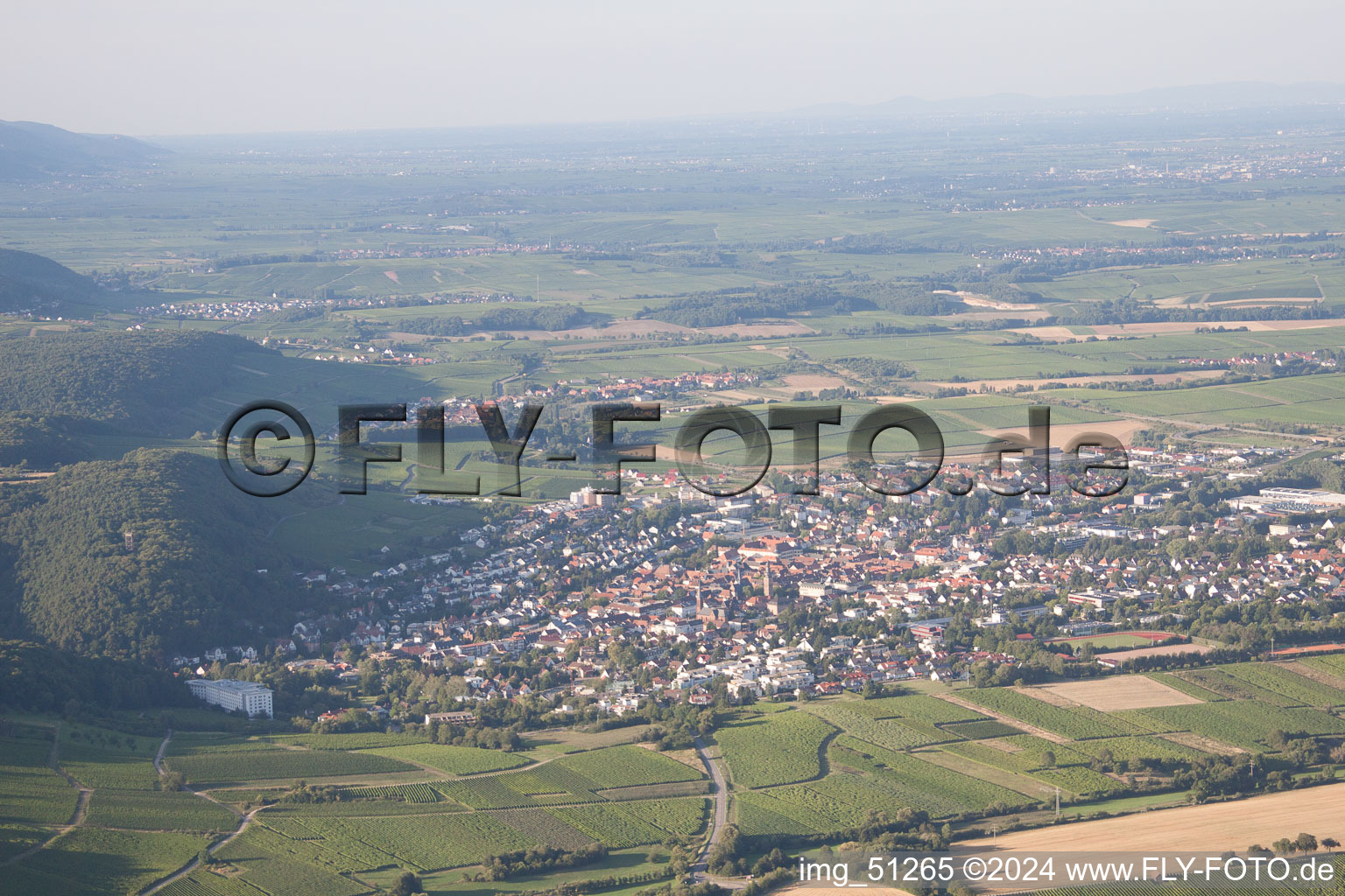 Bad Bergzabern in the state Rhineland-Palatinate, Germany from the drone perspective