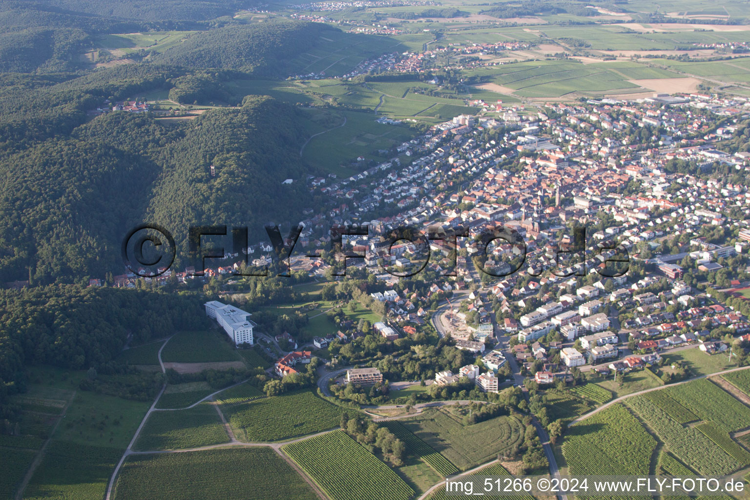 Bad Bergzabern in the state Rhineland-Palatinate, Germany from a drone