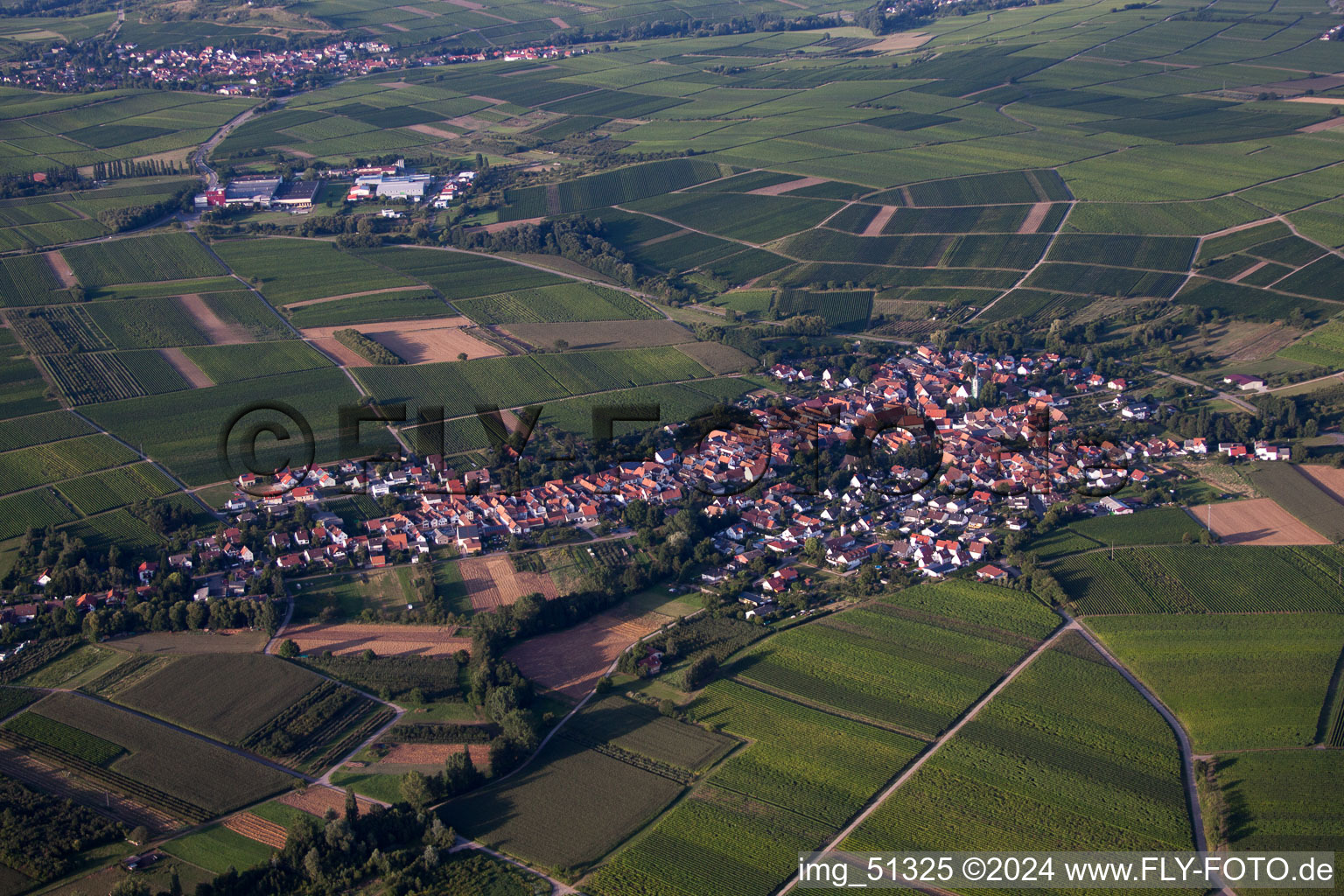 Klingenmünster in the state Rhineland-Palatinate, Germany seen from a drone