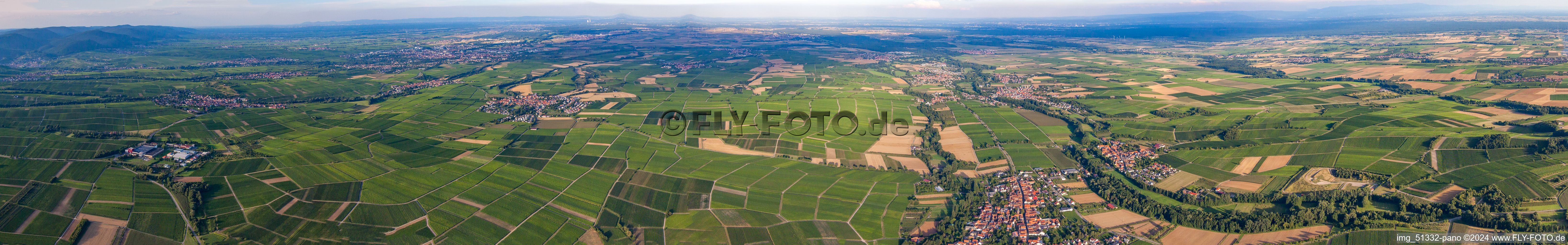 Panoramic perspective of Fields of wine cultivation landscape in the rhine valley near Billigheim-Ingenheim in the state Rhineland-Palatinate, Germany