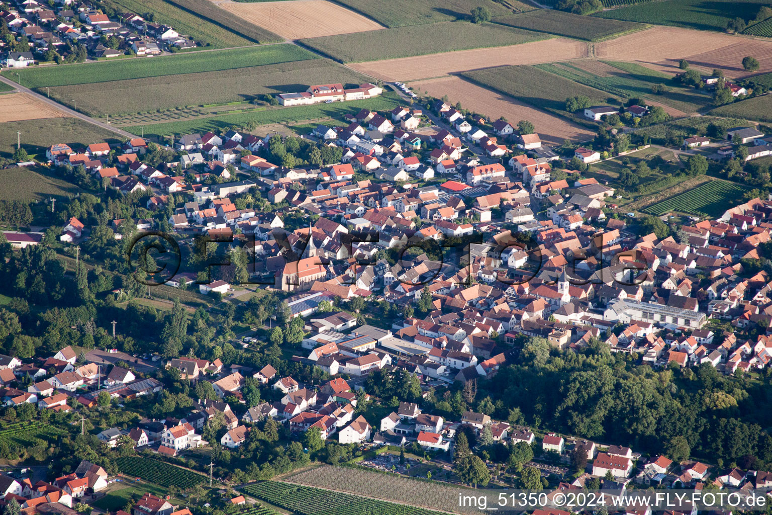 Oblique view of District Appenhofen in Billigheim-Ingenheim in the state Rhineland-Palatinate, Germany