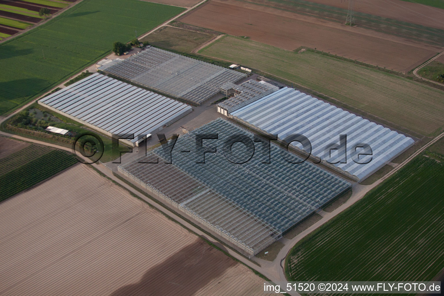 Weingarten in the state Rhineland-Palatinate, Germany from the drone perspective