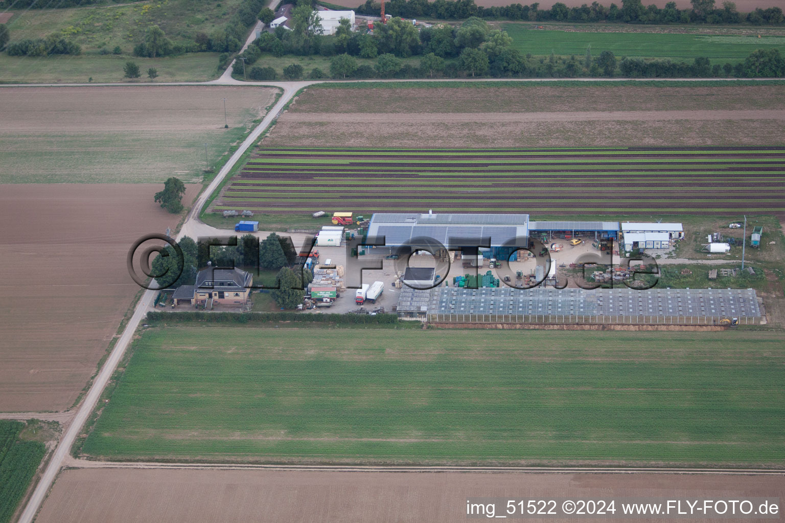 Weingarten in the state Rhineland-Palatinate, Germany seen from a drone