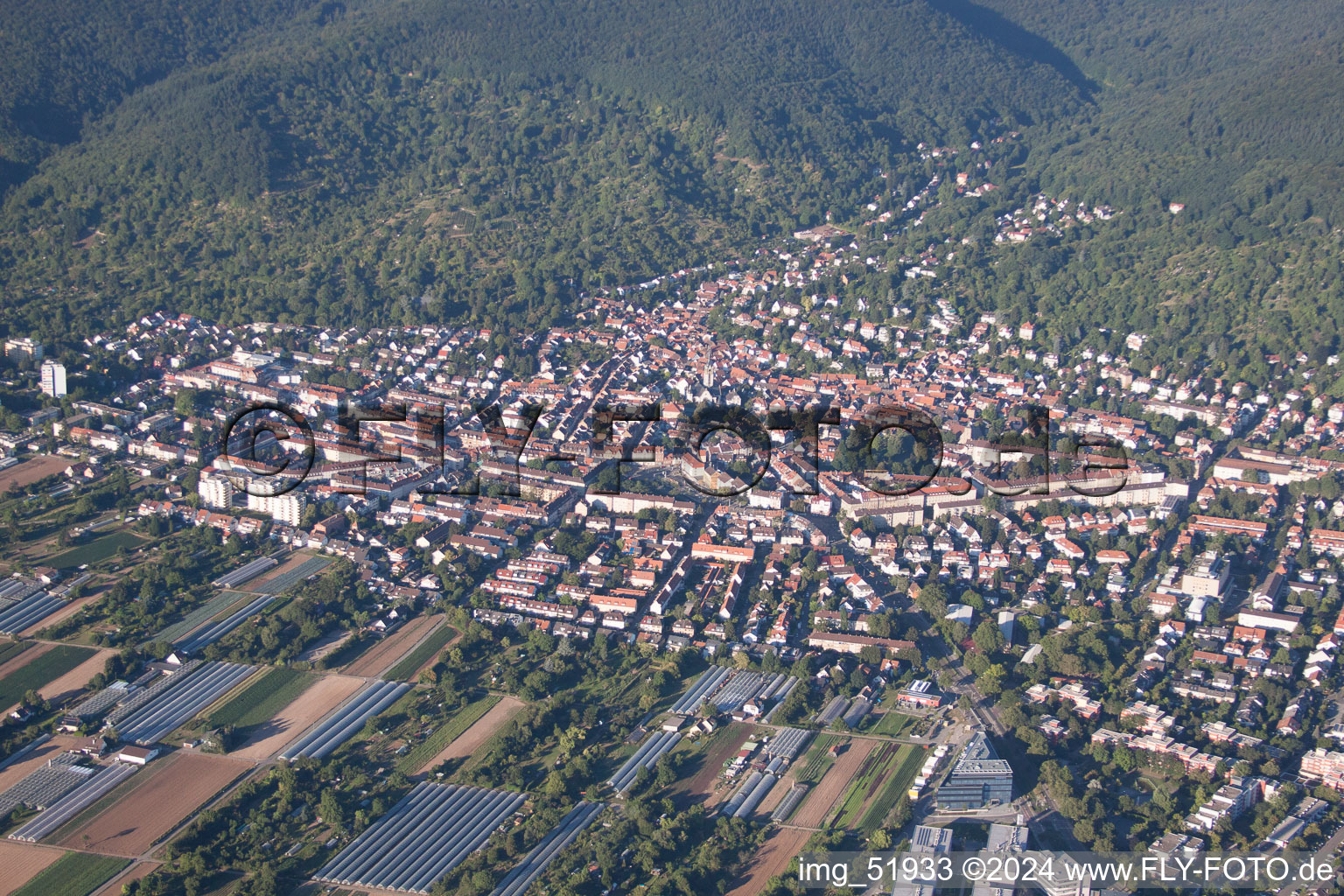 Aerial view of District Handschuhsheim in Heidelberg in the state Baden-Wuerttemberg, Germany