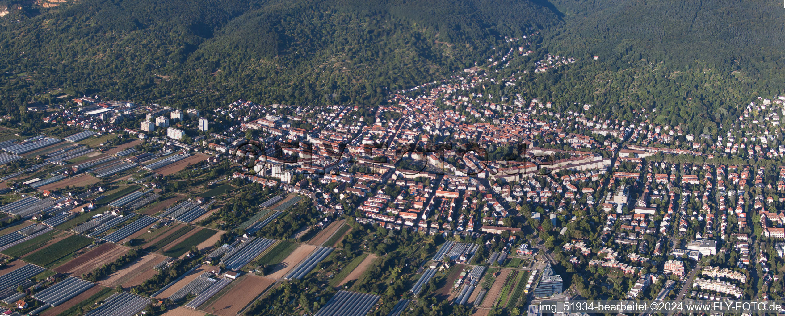 Aerial photograpy of District Handschuhsheim in Heidelberg in the state Baden-Wuerttemberg, Germany