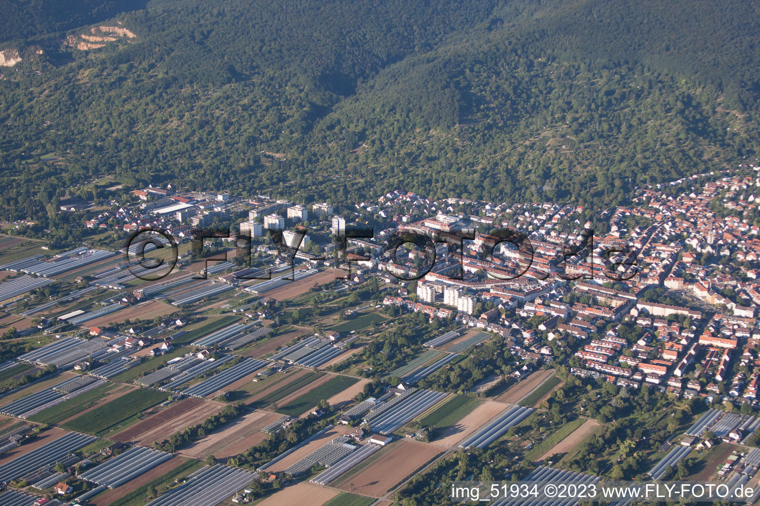 Oblique view of District Handschuhsheim in Heidelberg in the state Baden-Wuerttemberg, Germany
