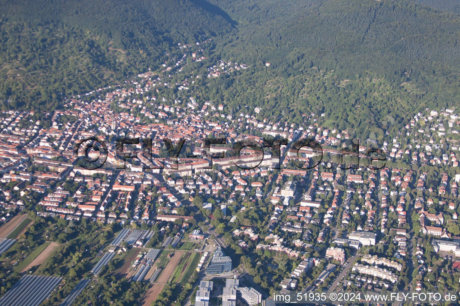 District Handschuhsheim in Heidelberg in the state Baden-Wuerttemberg, Germany from above