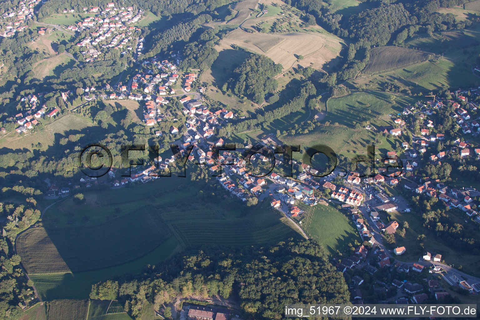 Aerial view of Ritschweier in the state Baden-Wuerttemberg, Germany