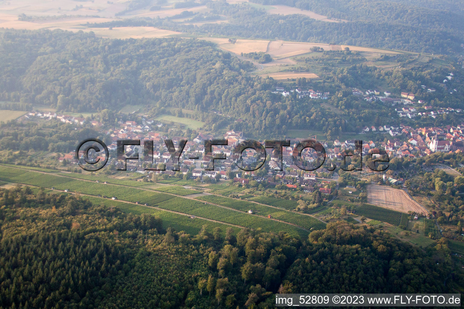 Weingarten in the state Baden-Wuerttemberg, Germany from above