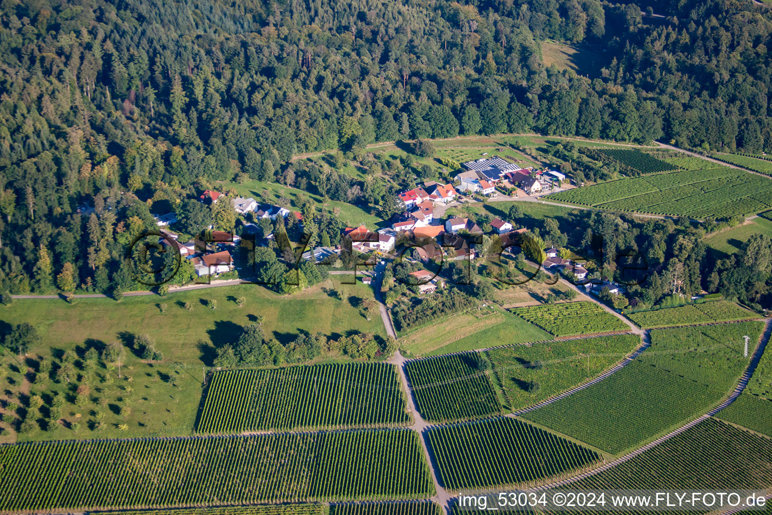 Kopp Winery in the district Ebenung in Sinzheim in the state Baden-Wuerttemberg, Germany