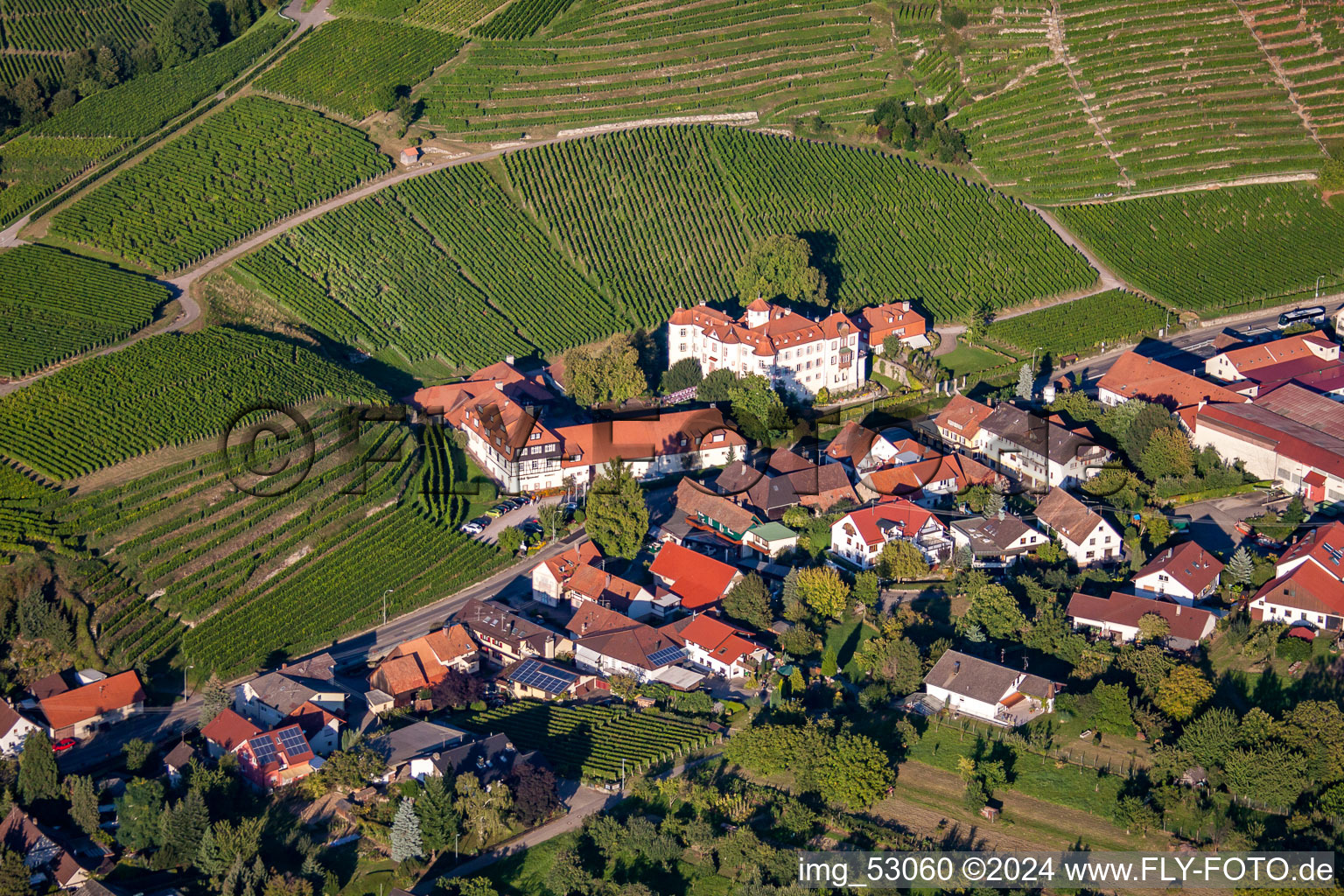 Neuweir Castle in the district Neuweier in Baden-Baden in the state Baden-Wuerttemberg, Germany from above