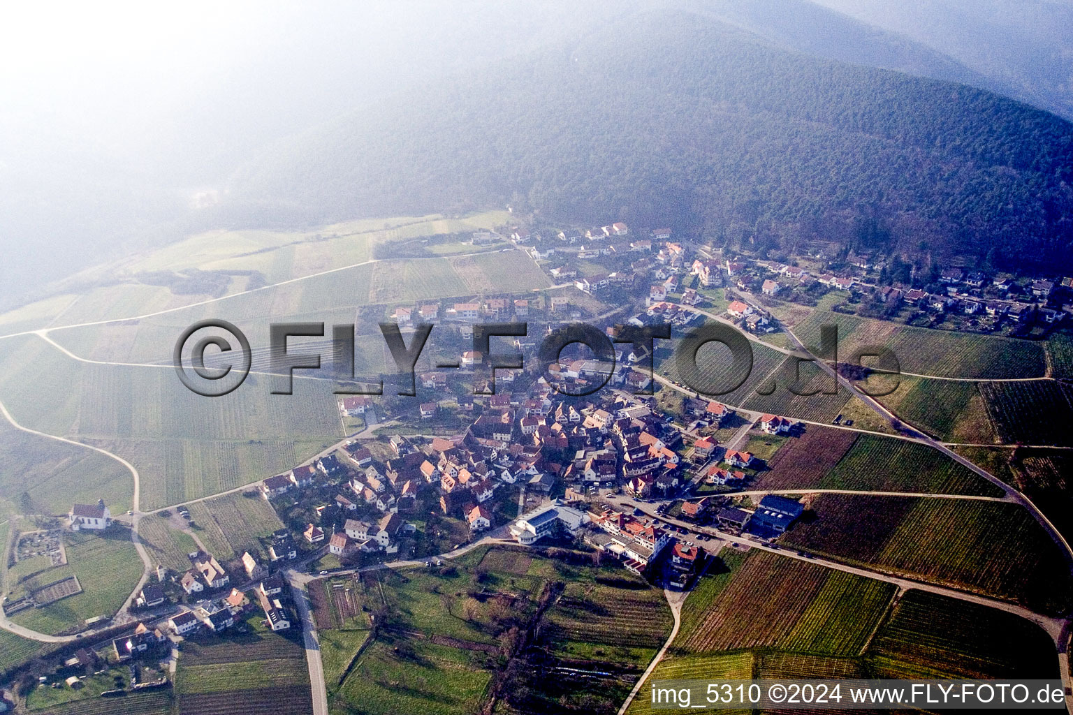 District Gleiszellen in Gleiszellen-Gleishorbach in the state Rhineland-Palatinate, Germany from the plane