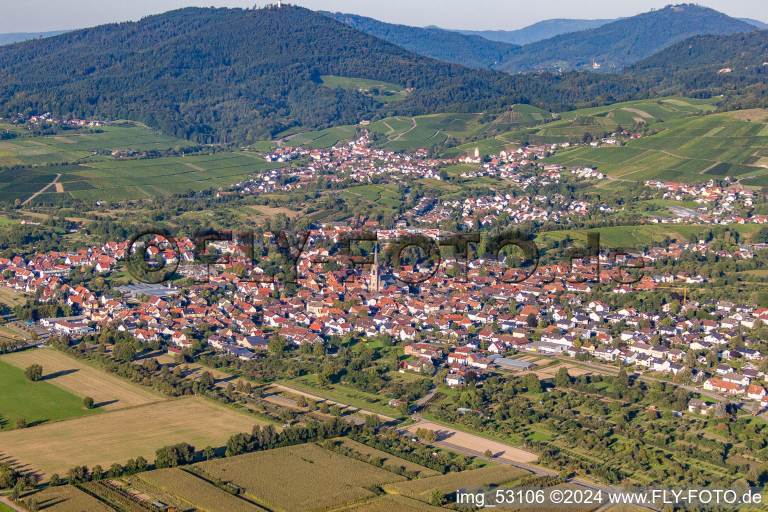 District Steinbach in Baden-Baden in the state Baden-Wuerttemberg, Germany viewn from the air