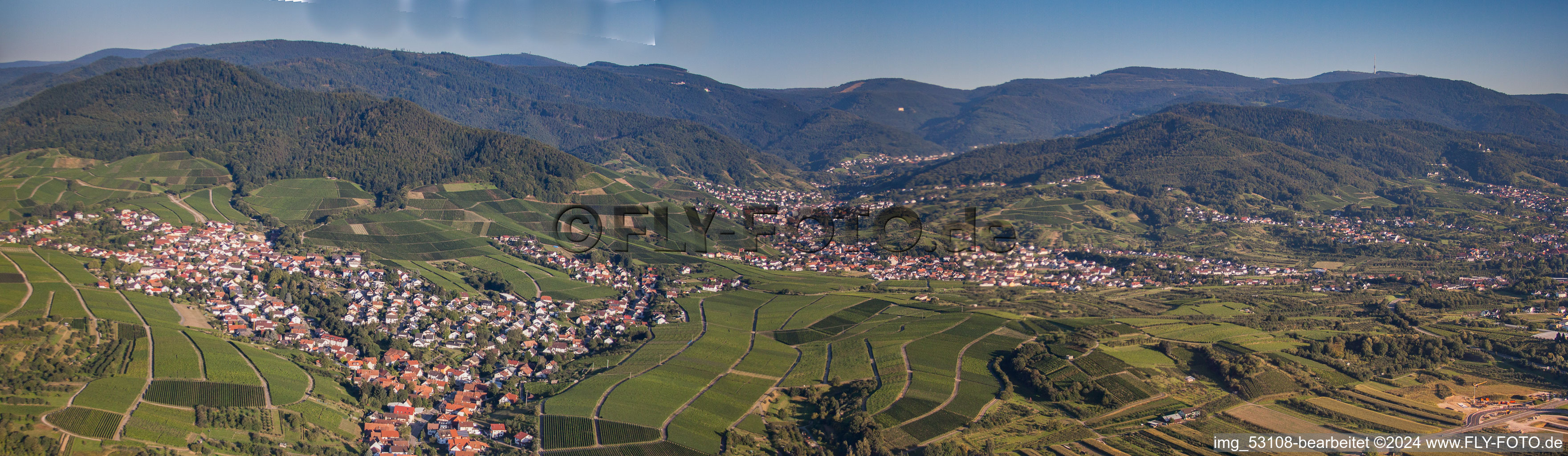 Panoramic perspective Village - view on the edge of wine yards and black forest in the district Altschweier in Buehl in the state Baden-Wurttemberg