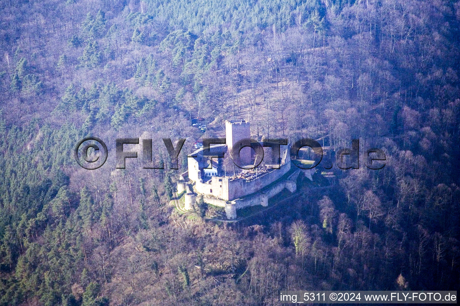 Landeck from the southeast in Klingenmünster in the state Rhineland-Palatinate, Germany