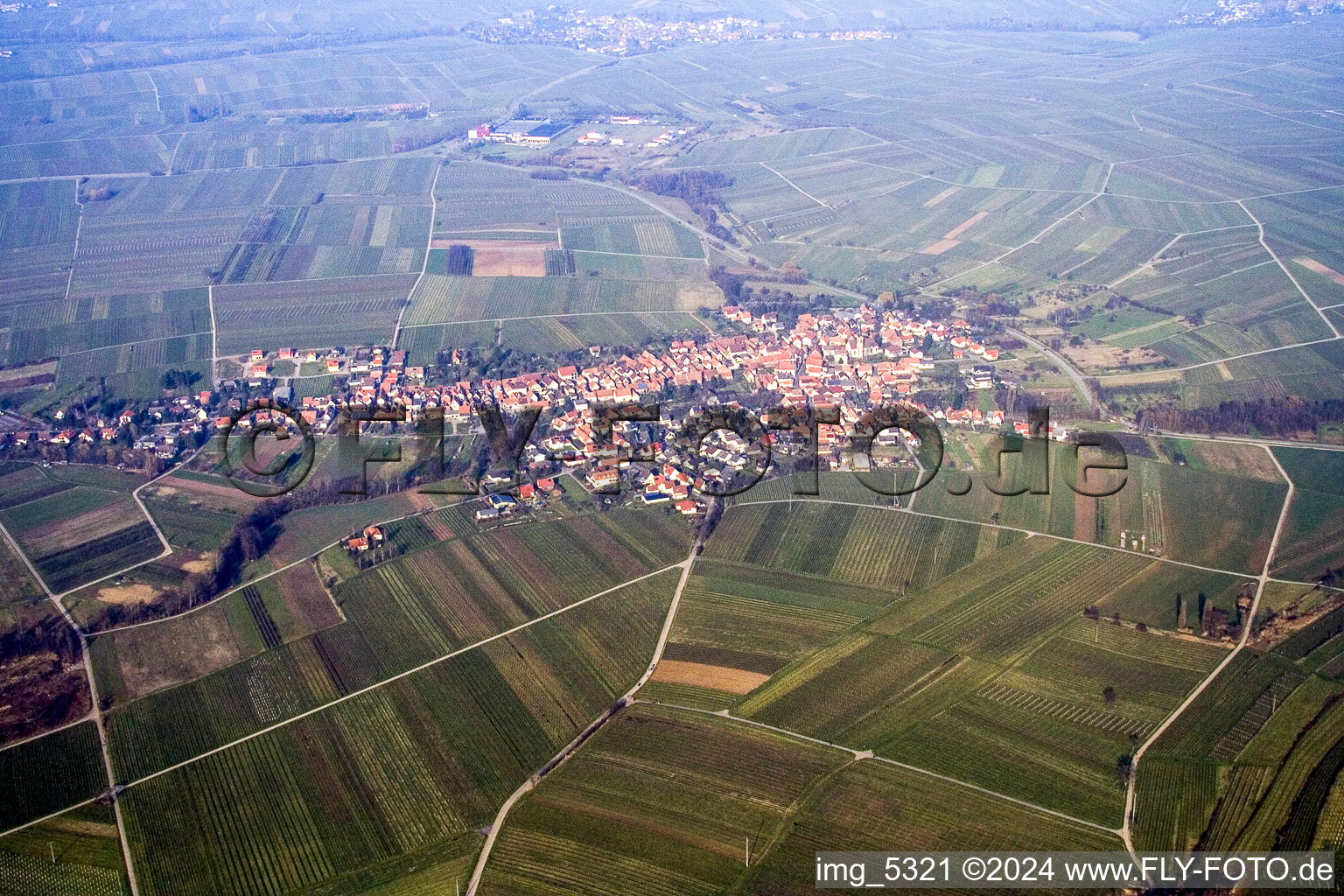 From the south in Göcklingen in the state Rhineland-Palatinate, Germany