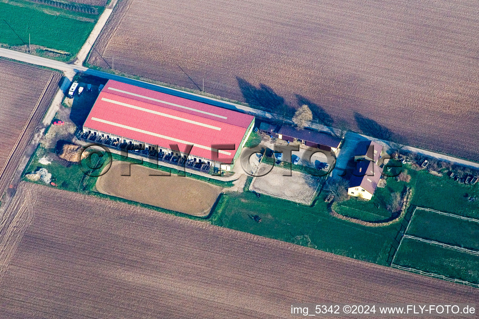 Pony farm in Steinweiler in the state Rhineland-Palatinate, Germany