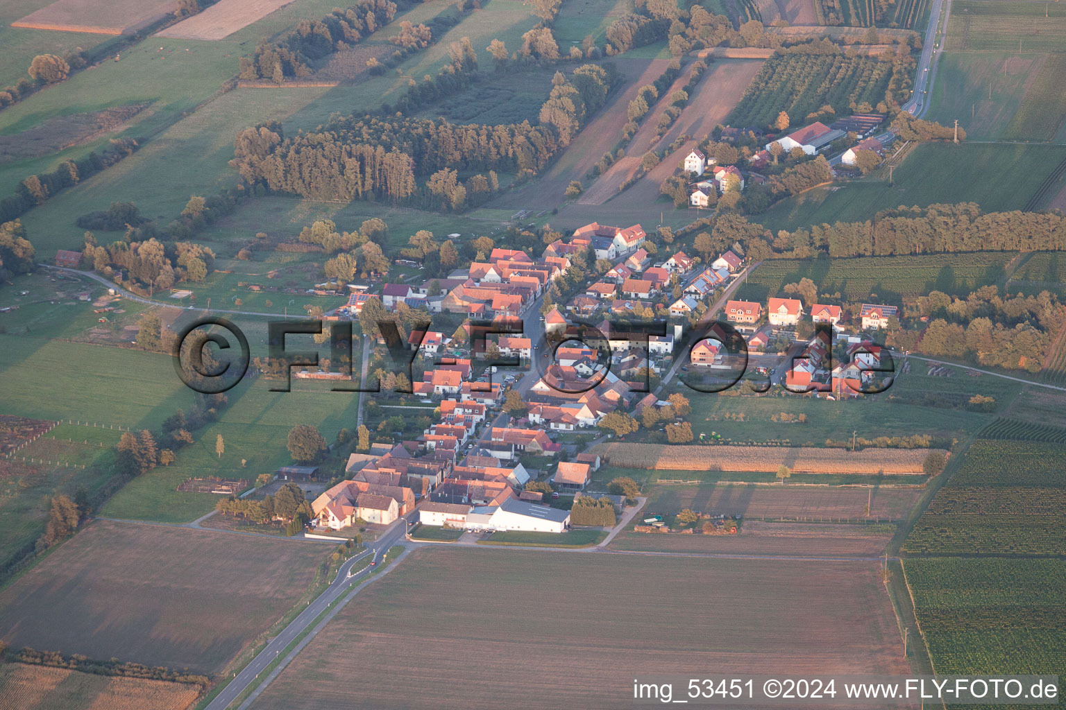 Aerial view of Hergersweiler in the state Rhineland-Palatinate, Germany