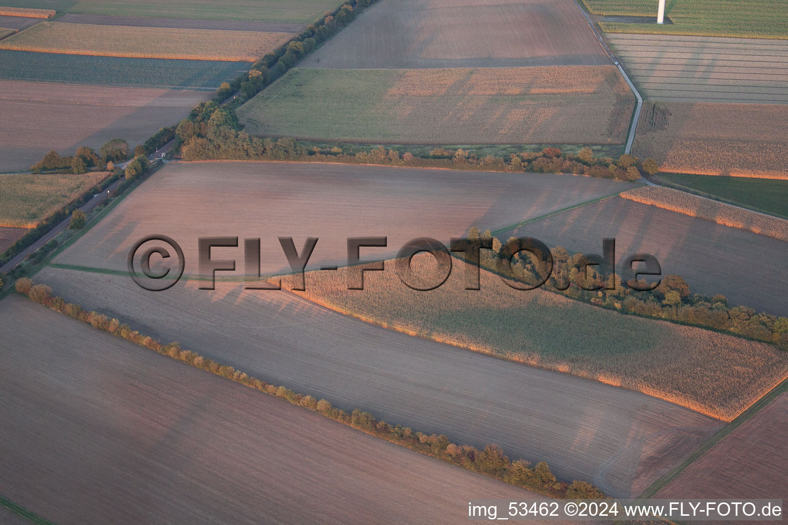 Minfeld in the state Rhineland-Palatinate, Germany seen from above